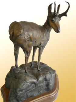 antelope image